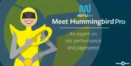 WPMU DEV Hummingbird Pro