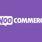 WooCommerce 2 13